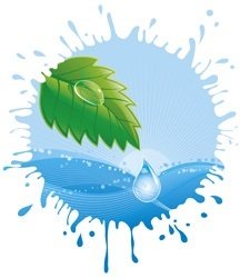 Cleaning 
Business Directory